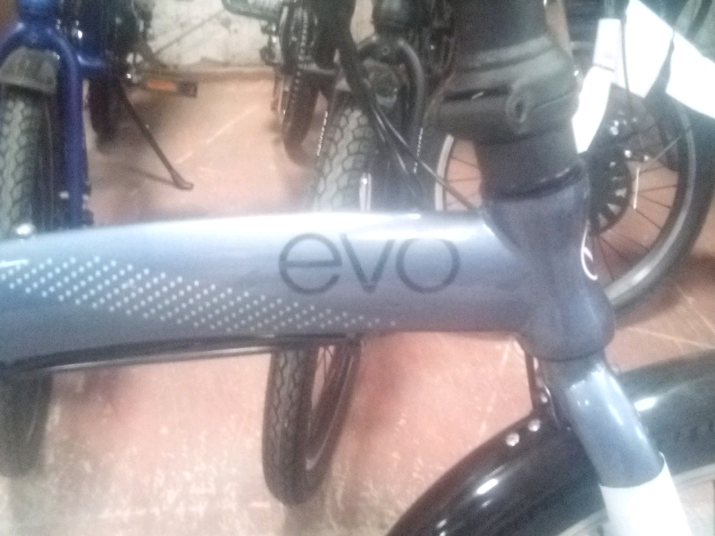 viking evo bike
